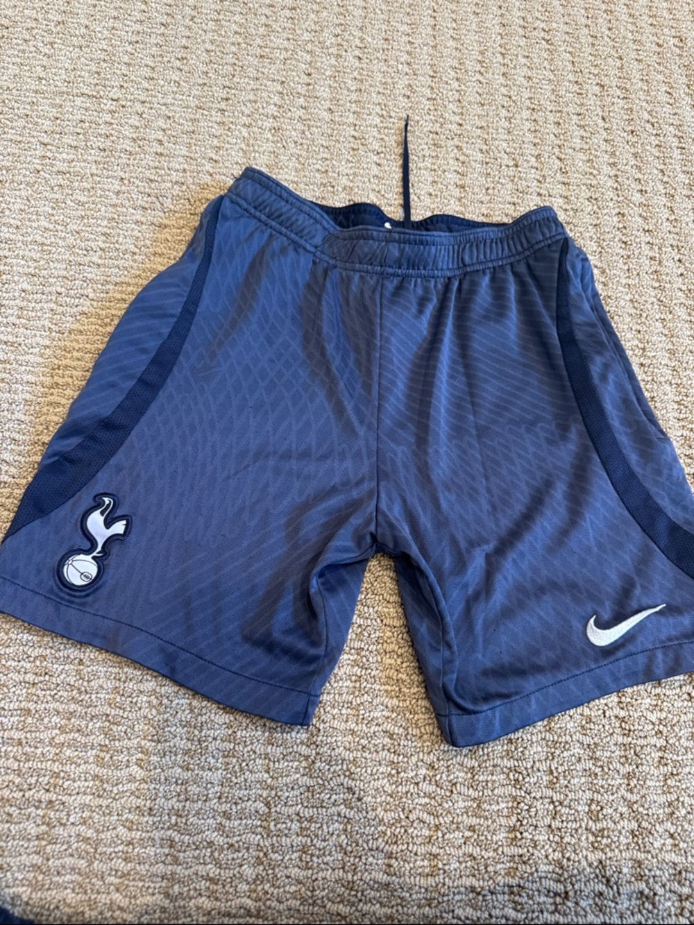 Nike Navy Blue Tottenham Training Shorts